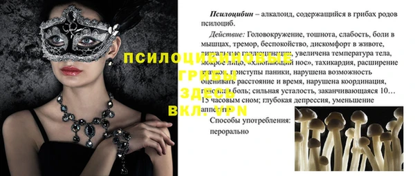 герыч Дмитров